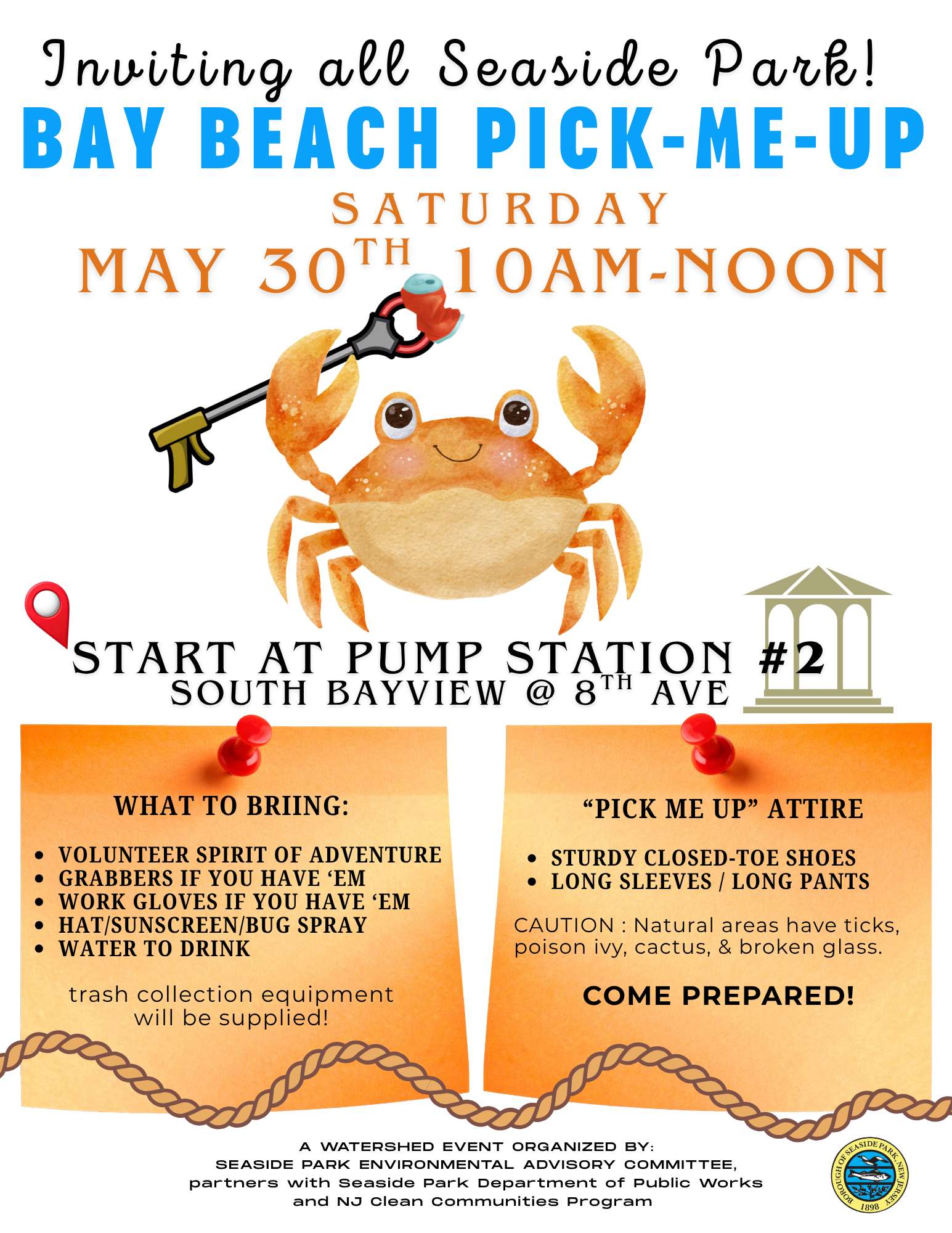 White Flyer-Bay Beach Pick up - Copy